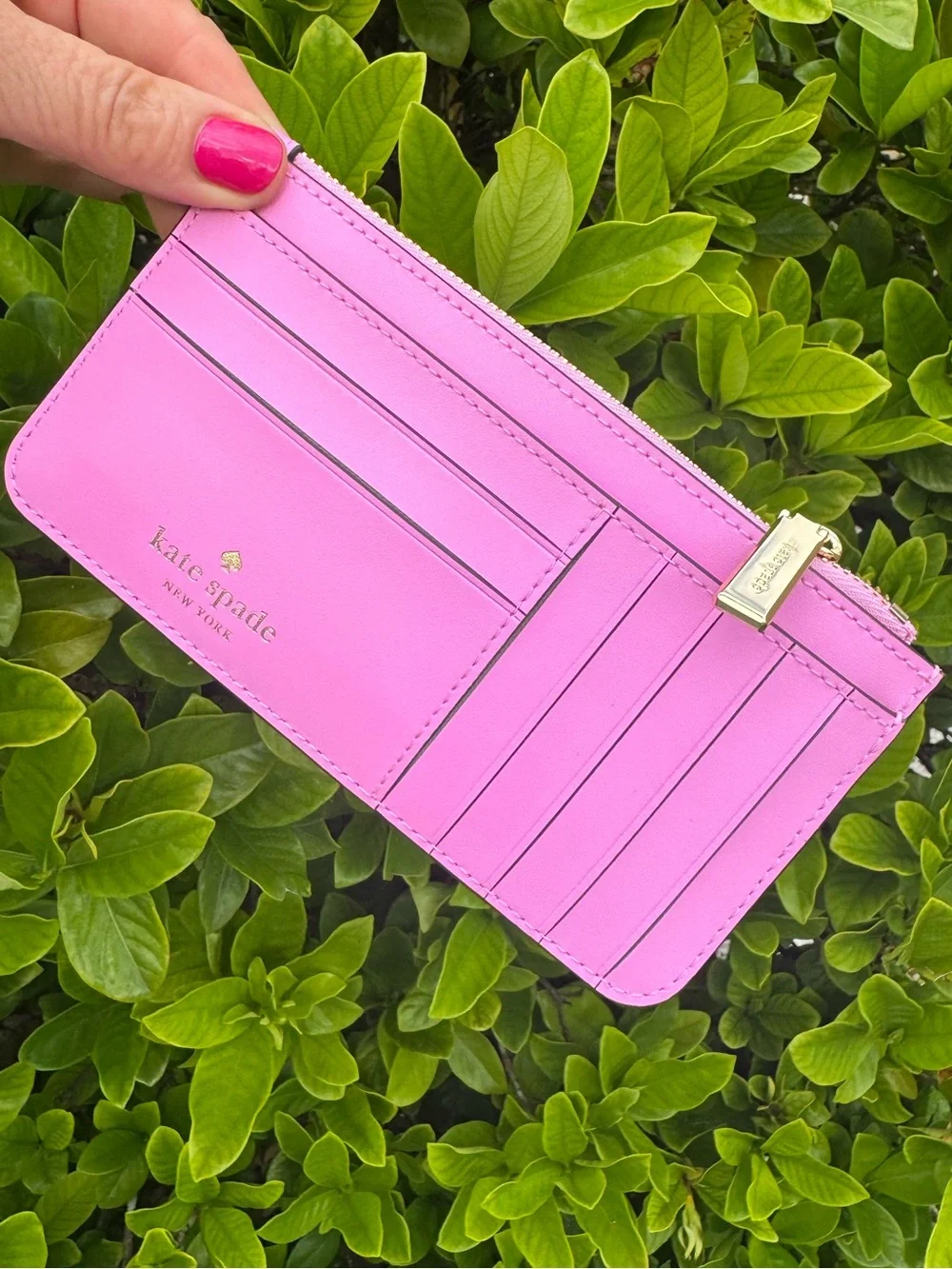 Kate Spade Sticky Situation Bubble Gum Large Slim Card Holder